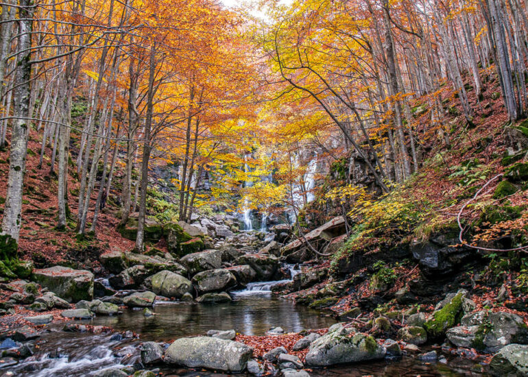 Cascate del Dardagna Autunno