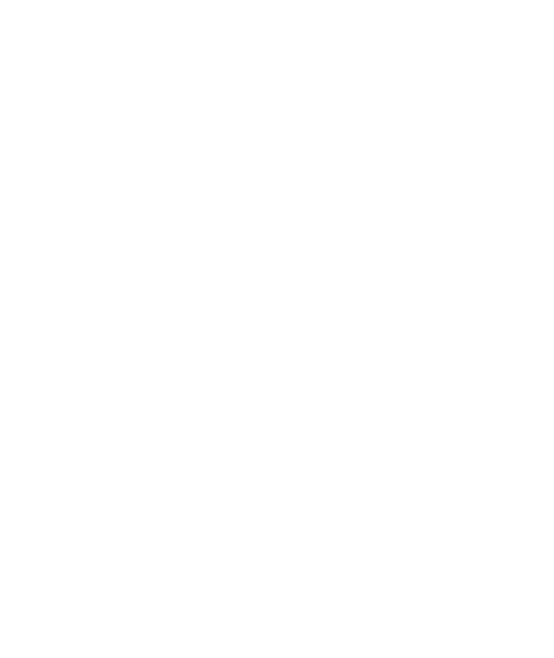 Logo Francesco Fanti Bianco