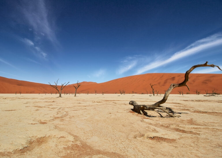 Sossusvlei - Alberi fossili, cielo azzurro e dune di sabbia rossa in contrapposizione al fondo bianco del lago prosciugato