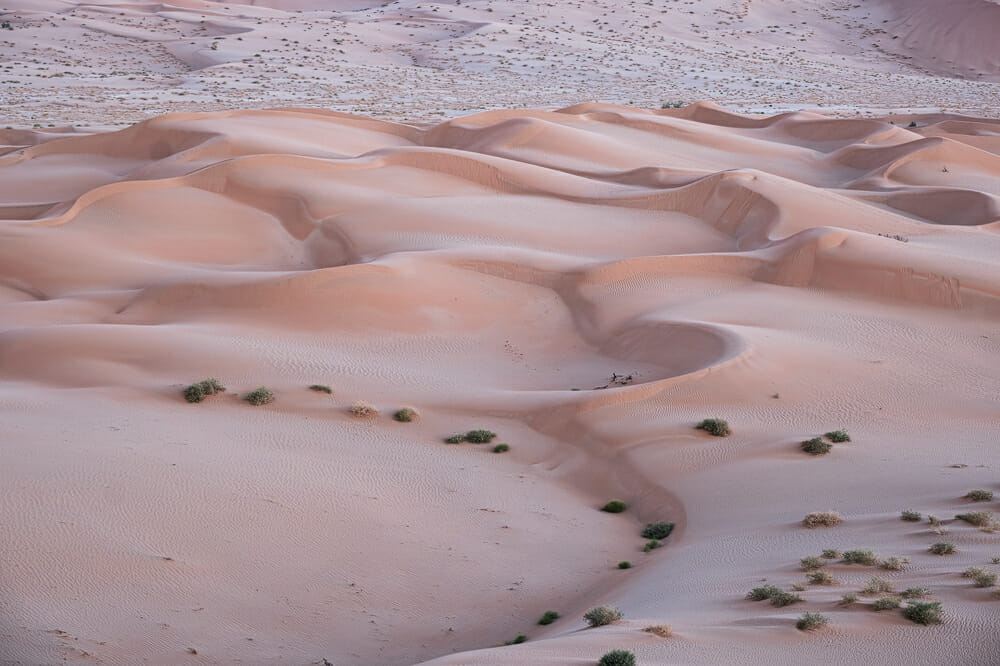 Dune di sabbia del deserto